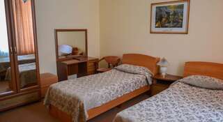 Гостиница Health Resort Edelveys Белокуриха Стандартный двухместный номер с 2 отдельными кроватями-2